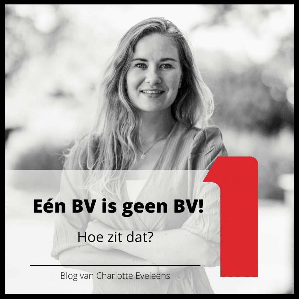 een bv is geen bv